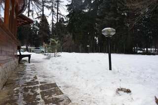 Виллы Persey Villa Borovets Боровец Вилла с 3 спальнями-37